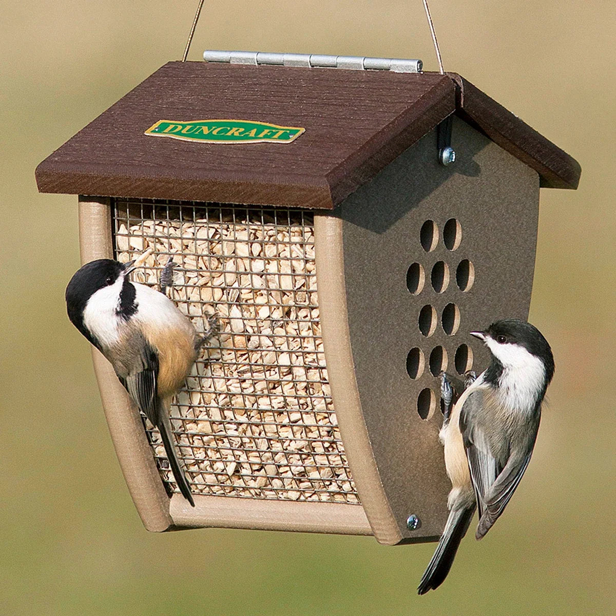 Duncraft Shield Sunflower & Nut Bird Feeder