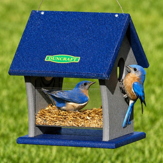 Duncraft Fly Right Inn Bluebird Feeder