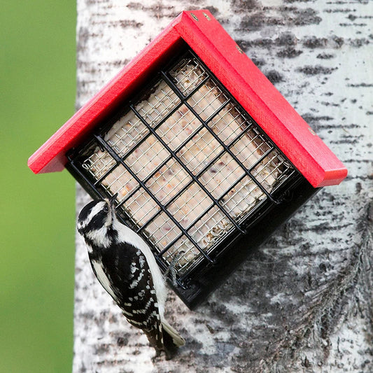 Duncraft Sheltered Suet Shield™ Blocker Tree Mount