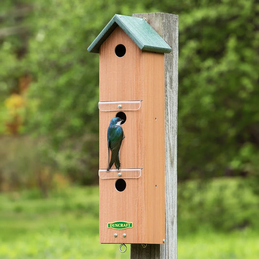 Duncraft Swallow & Sparrow Colony Nesting Box