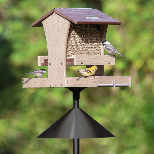 Duncraft Grandview Feeding Station Bird Feeder