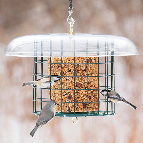 Duncraft Weather Log Haven Bird Feeder