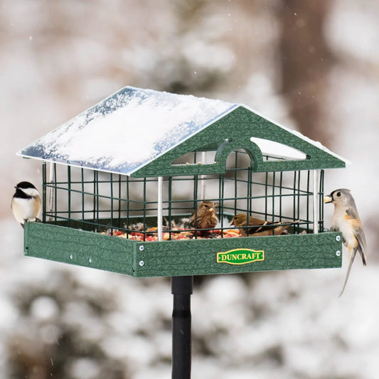 Duncraft Pavilion Haven Bird Feeder, Pole Mount