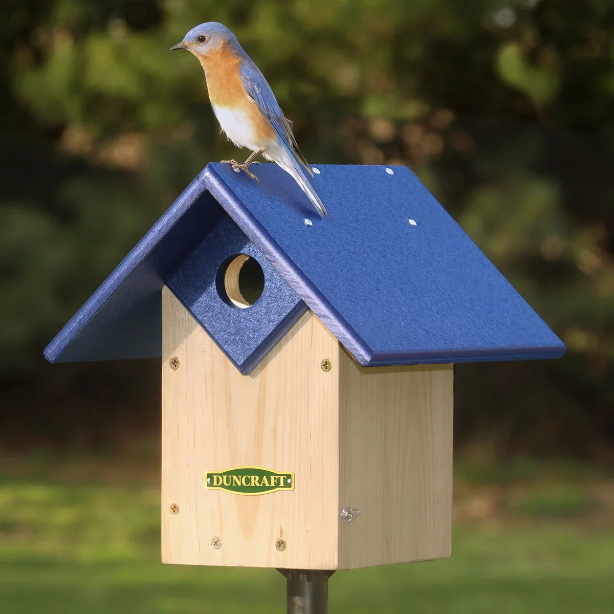 Duncraft Chalet Bluebird House & Pole