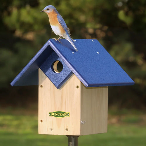 Duncraft Chalet Bluebird House & Pole