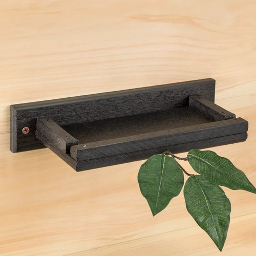 Barn Swallow & Phoebe Nesting Shelf