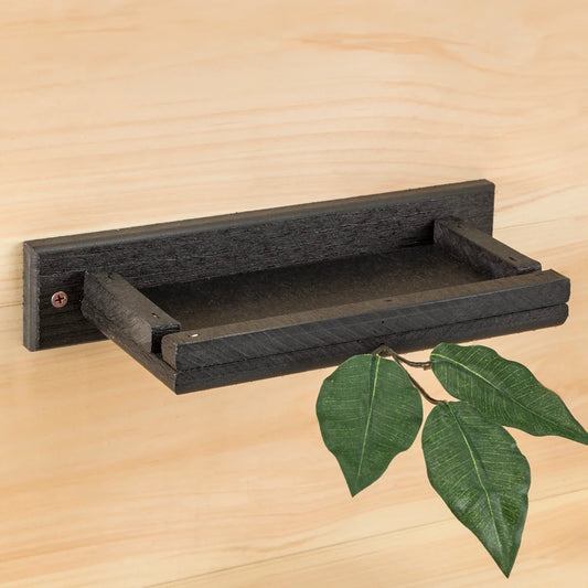 Barn Swallow & Phoebe Nesting Shelf