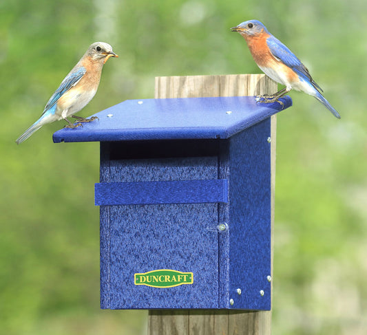 Duncraft Eco-Friendly Bluebird & Tree Swallow House