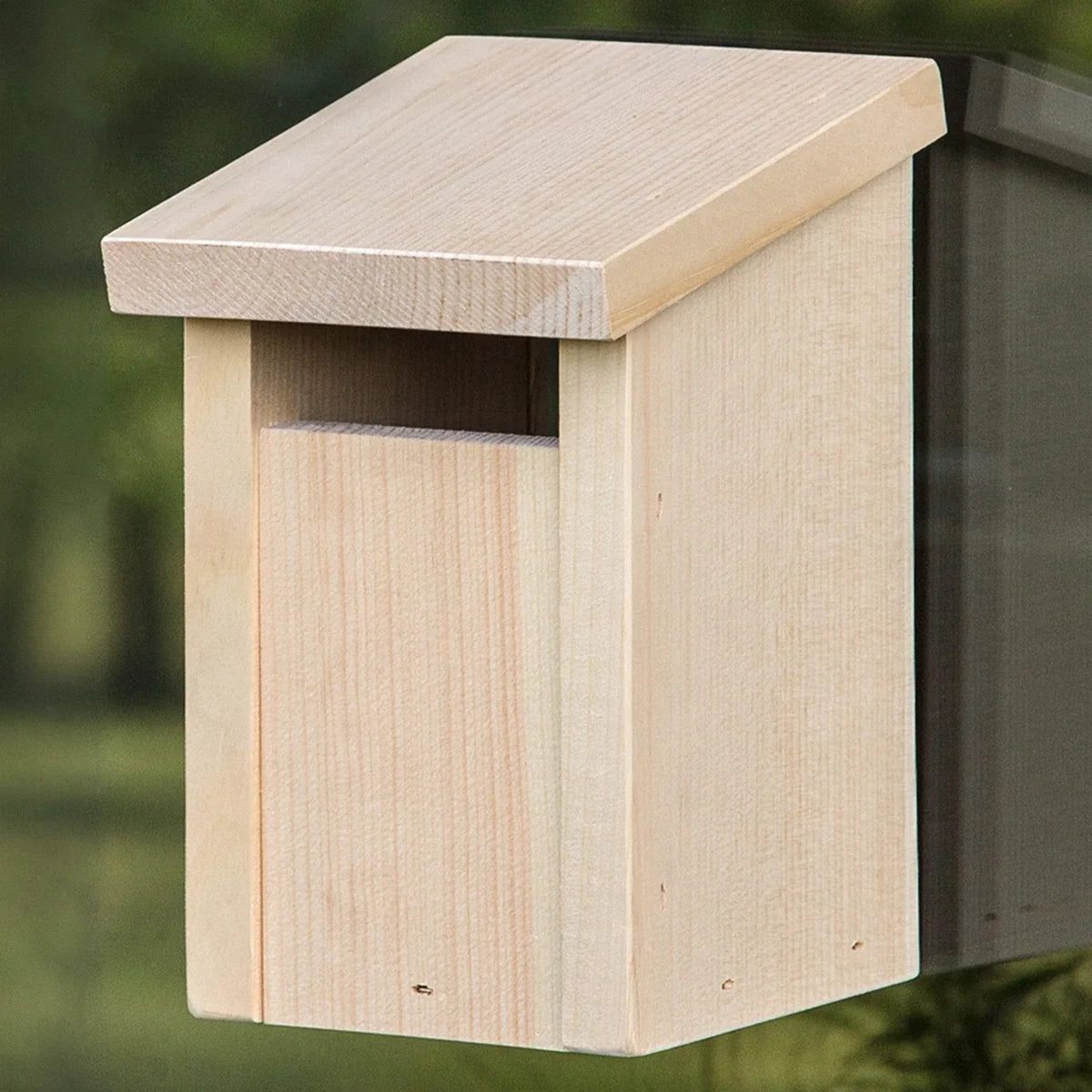 Slot Entry Window View Bird House