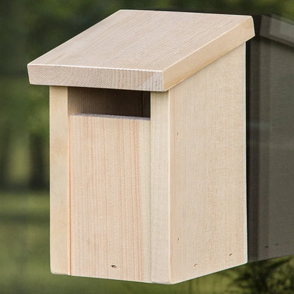Slot Entry Window View Bird House