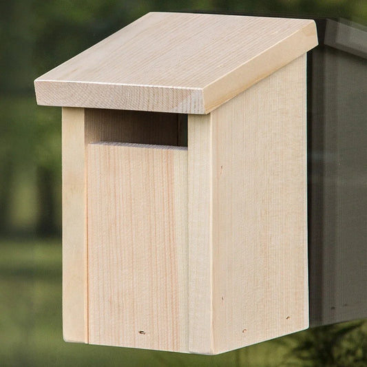 Slot Entry Window View Bird House