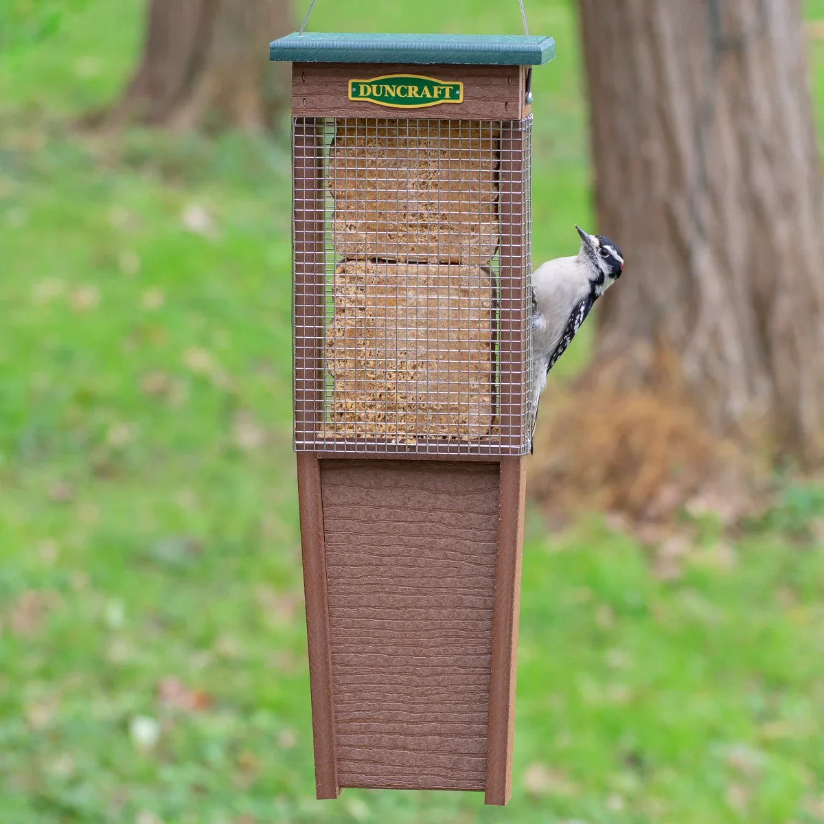 Pileated Woodpecker Suet Shield™ Wrap Feeder