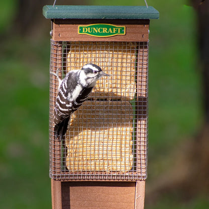 Pileated Woodpecker Suet Shield™ Wrap Feeder