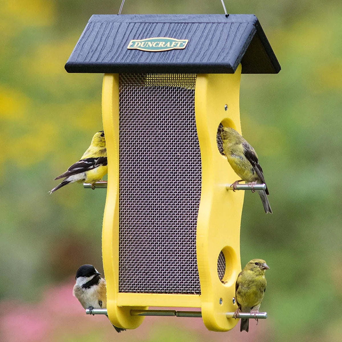 Duncraft Classic Wave Nyjer® Bird Feeder