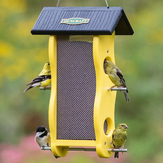 Duncraft Classic Wave Nyjer® Bird Feeder