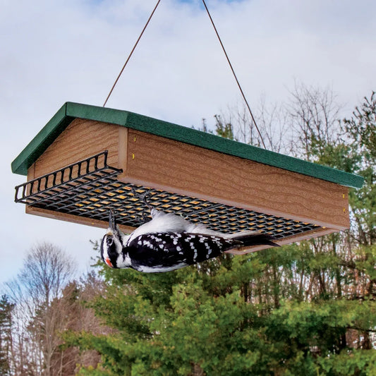 Duncraft Eco-Strong Upside Down Double Suet Feeder
