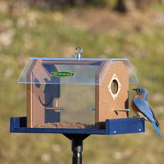 Duncraft Protected Bluebird Haven Feeder with Pole