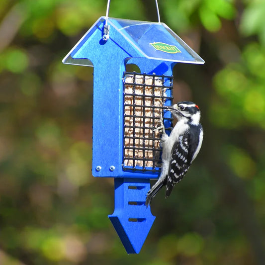 Duncraft Royal Blue Arrow Tail Prop Suet Bird Feeder