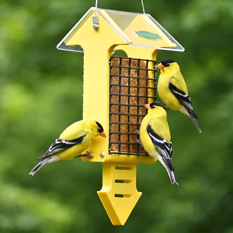 Duncraft Yellow Arrow Tail Prop Suet Bird Feeder