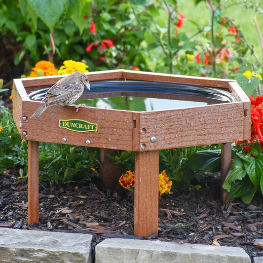 Duncraft Hexagon Ground Bird Bath