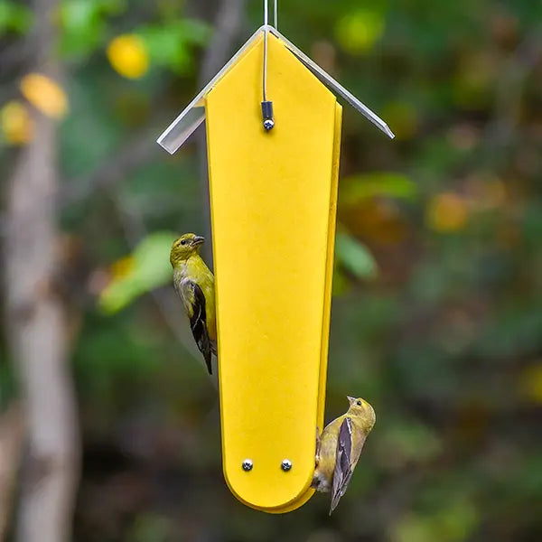 Duncraft Fancy Finch Nyjer® Bird Feeder