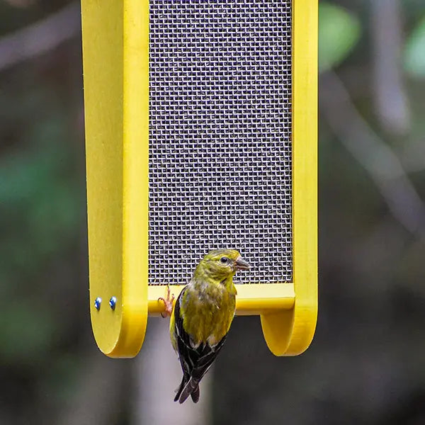 Duncraft Fancy Finch Nyjer® Bird Feeder