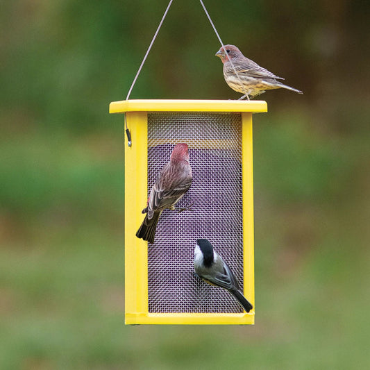 Duncraft Bird-Safe Nyjer® Mesh Bird Feeder