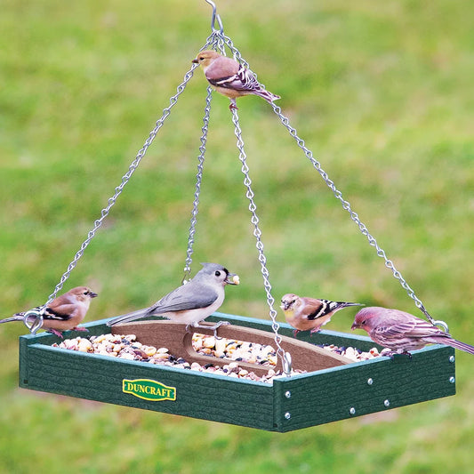 Duncraft Old Fashioned Toolbox Platform Bird Feeder