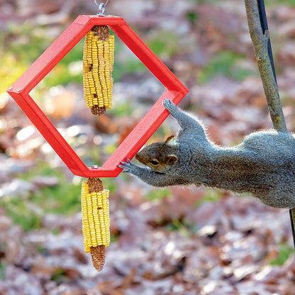 Duncraft Spinning Squirrel Feeder