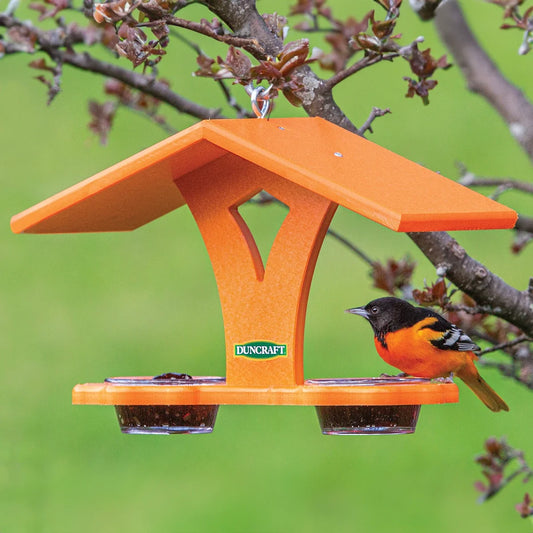 Duncraft Oriole Jelly Banquet
