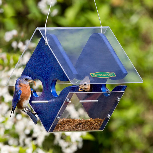 Duncraft Modern Bluebird Central Bird Feeder