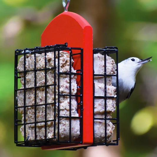 Duncraft Double Suet Feeder