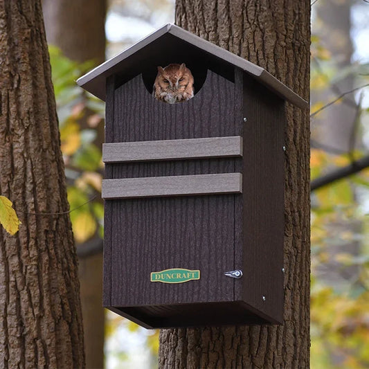 Duncraft Screech/Saw-Whet Owl Nesting Box, Dark Brown