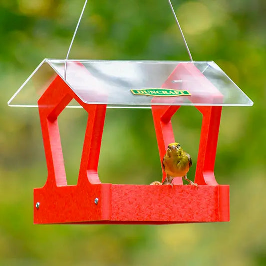 Duncraft Heritage Platform Bird Feeder, Red