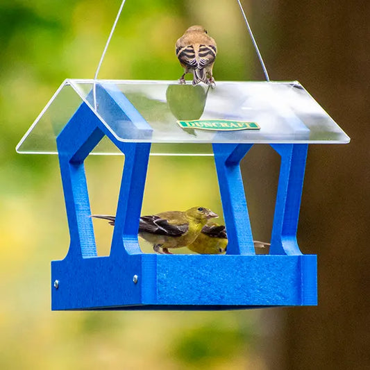Duncraft Heritage Platform Bird Feeder, Royal Blue
