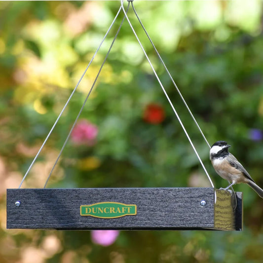 Duncraft Classic Bird Safe Platform Bird Feeder, Black