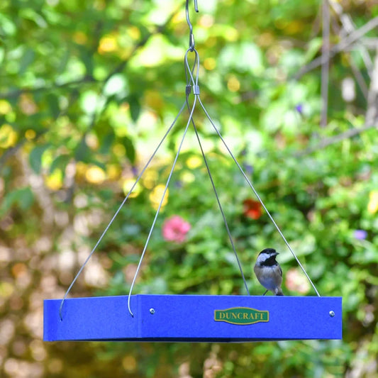 Duncraft Classic Bird Safe Platform Bird Feeder, Royal Blue