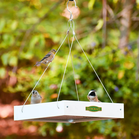 Duncraft Classic Bird Safe Platform Bird Feeder, White