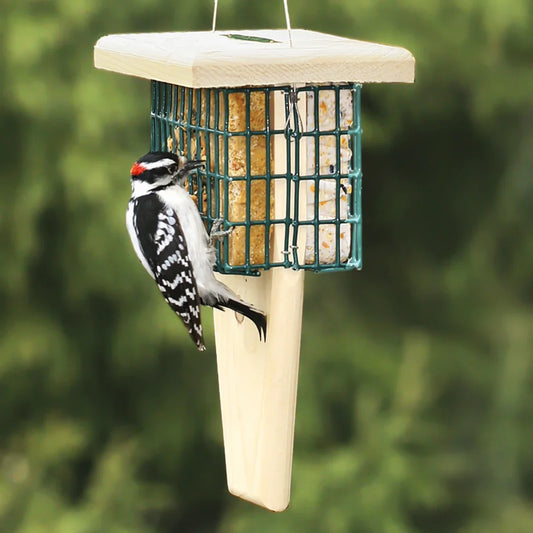 Duncraft Tail Prop Double Suet Feeder