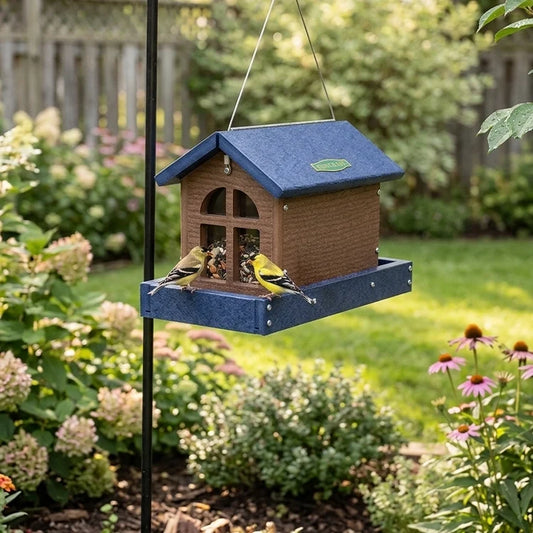 Duncraft Barn Landing Bird Feeder