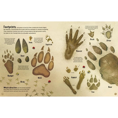 Woodland Book : Usborne