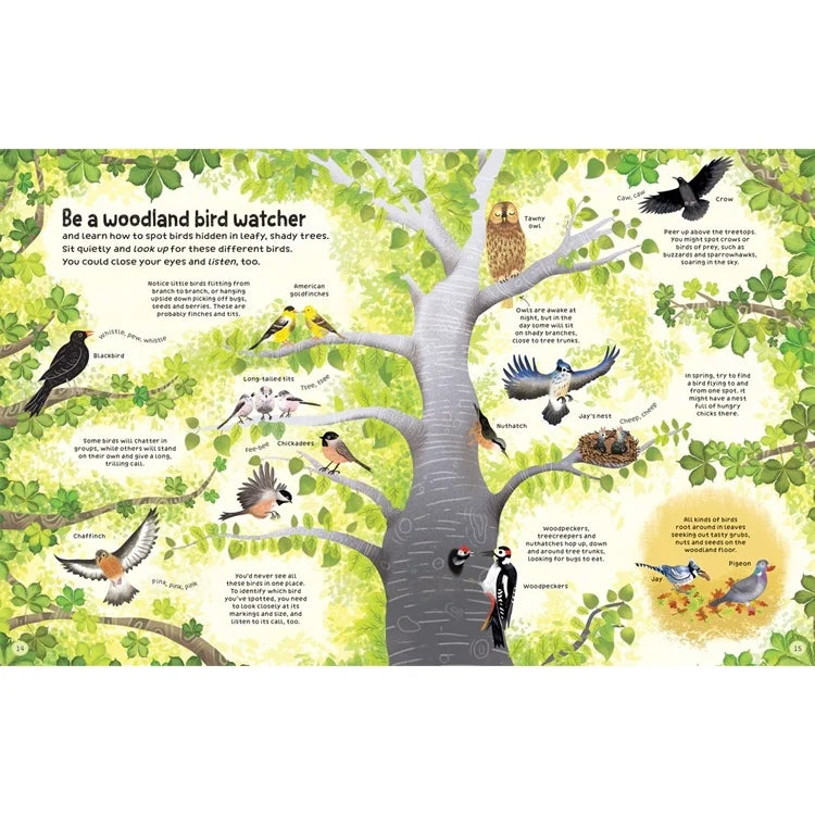 Woodland Book : Usborne