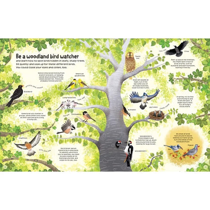 Woodland Book : Usborne