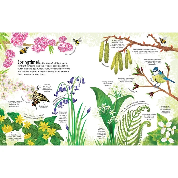 Woodland Book : Usborne