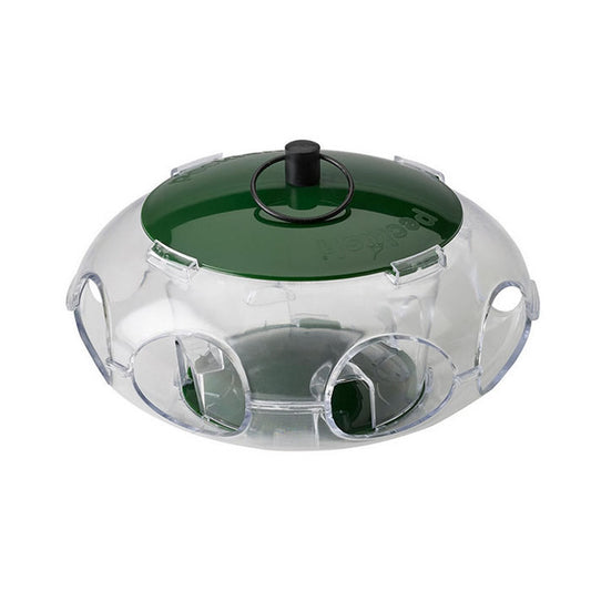 Small Bird Seed Bird Feeder