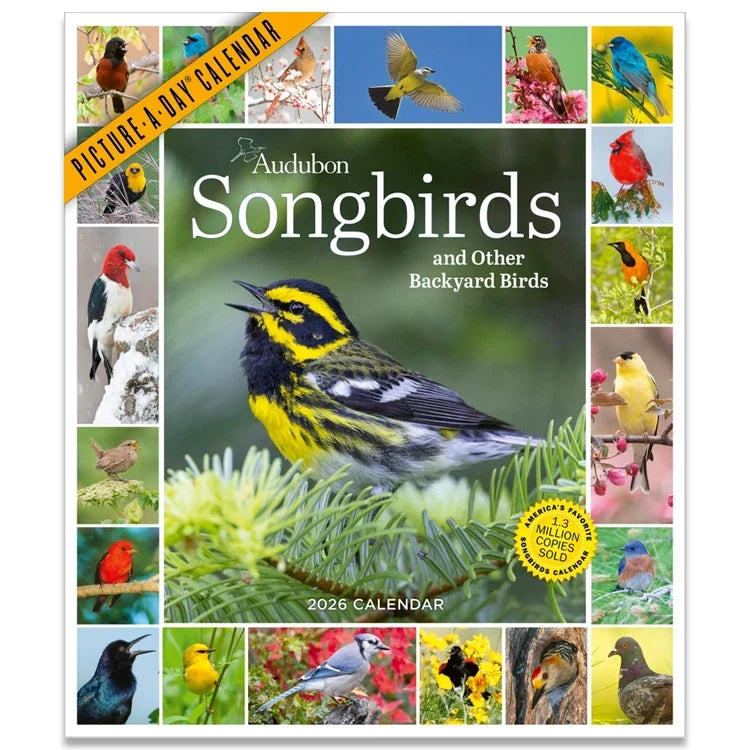 Audubon Songbirds Picture-A-Day Wall Calendar 2026