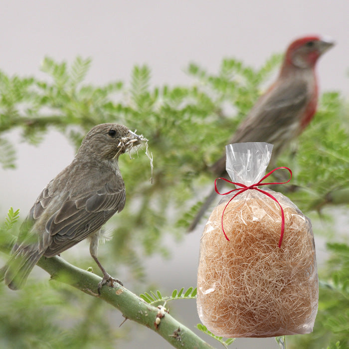 Aspen Nesting Refill