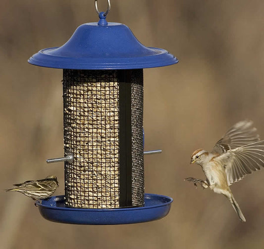 Cobalt Twin Bird Feeder