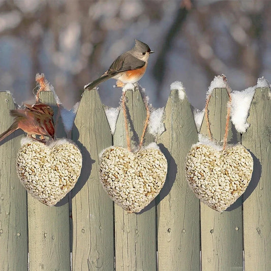 Wild Bird Seed Love Heart Singles
