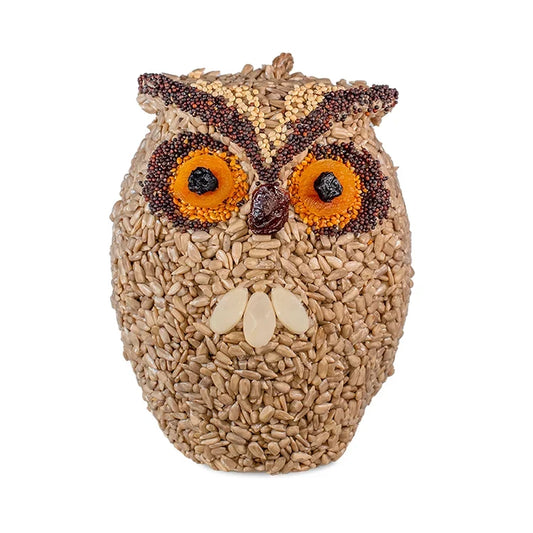 Whoo-lio The Owl Wild Bird Seed Feeder
